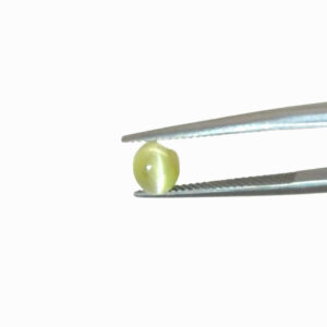 10.76 CT • Star Sapphire